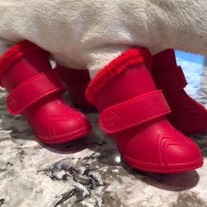 Rubber dog boots - bought for our cat who refused to wear them